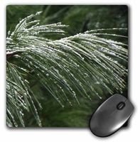 3dRose Pine Bough with Snow Mouse Pad (mp_185396_1)