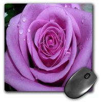3dRose LLC 8 x 8 x 0.25 Inches Mouse Pad, Purple Rose (mp_1264_1)