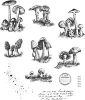 Tim Holtz - Stampers Anon CMS377 Cling RBBR Stamp Set, Tiny Toadstools