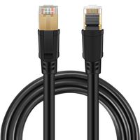 LanYunUmi CAT8 Ethernet Cable,Professional Network Patch Cable 40Gbps 2000Mhz S/FTP LAN Wires, High Speed Internet Cable Cord with RJ45 Gold (CAT8 (32.8FT/10M))