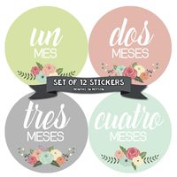 Months In Motion Spanish Espanol Monthly Baby Stickers - 12 Month Milestone Sticker for Newborn Babies - Shower Gift - Photo Keepsake