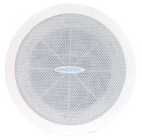 Phonic IW656 6.5" Driver Speaker