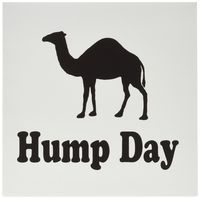 3dRose Hump Day - Greeting Cards, 6 x 6 inches, set of 12 (gc_159637_2)