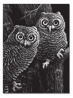 Melissa & Doug Scratch Art Scratchboard (11 x 13 inches, Black Coated - Set of 10 Boards, Great Gift for Girls and Boys - Best for 5, 6, 7, 8, 9 Year Olds and Up)