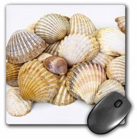 3dRose LLC 8 x 8 x 0.25 Inches Sea Shells Shore Summer Beach Theme Pattern Mouse Pad (mp_50550_1)