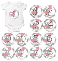 Gift Set of 12 Round Keepsake Photography Monthly Baby Stickers with Pink Owl and Balloon MOSG081