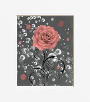 Coral Grey Wall Art, Rose Flower, Bubbles, Decorative Coral Bathroom, Bedroom Matted 5x7, 8x10, 11x14 Wall Art (Picture Options)