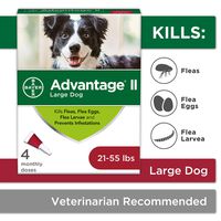 Flea and Lice Treatment for Dogs, 21 - 55 lb, 4 doses, Advantage II