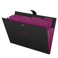 Skydue Letter A4 Paper Expanding File Folder Pockets Accordion Document Organizer (Black)