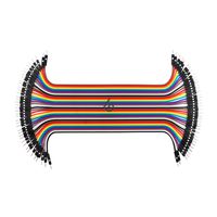 GenBasic 40 Piece Male to Male 8 Inch Solderless Ribbon Dupont-Compatible Jumper Wires for Breadboard Prototyping
