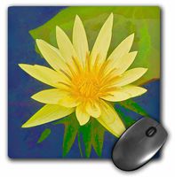 3dRose LLC 8 x 8 x 0.25 Inches Decorative Colorful Garden Botanic Abstract Plant Water Lily Blue Gold Yellow Flower Green Cartoon Mouse Pad (mp_128194_1)