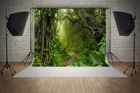 7ft(W) x 5ft(H) Jungle Backgrounds Sunshine Green Forest Trees Road Baby Shower Wedding Birthday Party Decorations Microfiber Photo Backdrop Studio Props