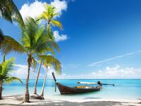 DZJYQ 6.5x5ft(2x1.5m) Blue Sky White Cloud Green Coconut Tree Boat Ocean Beach Sea Holiday Love Backdrop Photography Background Studio 121