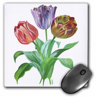 3dRose LLC 8 x 8 x 0.25 Inches Flowers Tulips Mouse Pad (mp_18289_1)