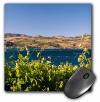 3D Rose"USA Washington Lake Chelan. Barrel and Vineyard Lake Chelan Ava." Matte Finish Mouse Pad - 8 x 8" - mp_191797_1