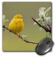 3dRose 1 Durable Mouse Pad (mp_258653_1)