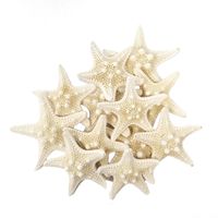Tumbler Home Certified Starfish Knobby White 2" to 3" Set of 12 - Wedding Seashell Craft - Hand Picked and Professionally Packed ...