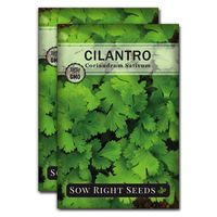 Sow Right Seeds - Cilantro Seed - Non-GMO Heirloom Seeds with Full Instructions for Planting an Easy to Grow herb Garden, Indoor or Outdoor; Great Gift (2 Packets)