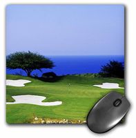 3dRose LLC 8 x 8 x 0.25 Inches Mouse Pad, Greg Johnston (mp_72383_1)