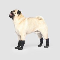 Canada Pooch New Slouchy Socks, Black, Size L