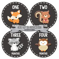Months In Motion Gender Neutral Baby Month Stickers - Monthly Milestone Sticker for Boy or Girl - Infant Photo Prop for First Year - Shower Gift - Newborn Keepsakes - Unisex - Woodland Animals