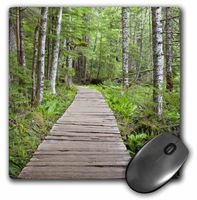 3dRose LLC 8 x 8 x 0.25 Inches Mouse Pad, Washington, Mt Rainier Np, Trail of The Shadows - Jamie and Judy Wild (mp_96344_1)