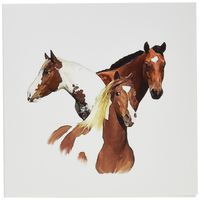 3dRose Horses - Greeting Cards, 6 x 6 inches, set of 6 (gc_4584_1)