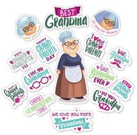 Vinyl Stickers for Water Bottles - Extra Durable 15 pcs Vinyl Aesthetic Laptop Stickers for Teens - Grandparents Day Gifts