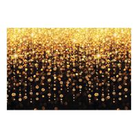 Fun Express Celebration Lights Backdrop Banner (9 ft. x 6 ft) Plastic.