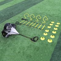 A11N Speed & Agility Training Set- Includes 1 Resistance Parachute, 1 Agility Ladder, 4 Steel Stakes, 4 Adjustable Hurdles, 12 Disc Cones, and a Drawstring Bag | Training Equipment for All Sports