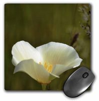 3dRose LLC 8 x 8 x 0.25 Inches Mouse Pad, Earthy Poppy Flower - White Floral Photography (mp_52843_1)