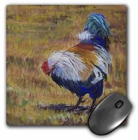 3Drose 8 X 8 X 0.25 Inches Mouse Pad Beautiful Turquoise, White, Blue and Black Feathered Barnyard Rooster. (mp_61480_1)
