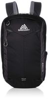 Gregory Mountain Products Border 18 Liter Laptop Backpack, Pixel Black, One Size
