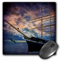 3dRose LLC 8 x 8 x 0.25 Inches Tall Ship Bow Gull Clouds River Mouse Pad (mp_55954_1)