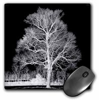 3dRose LLC 8 x 8 x 0.25 Inches Mouse Pad, Black and White Winter Silhouette of A Lone Tree (mp_154759_1)