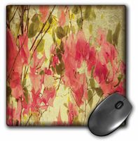 3dRose LLC 8 x 8 x 0.25 Inches Mouse Pad, Pink Bougainvillea on Green (mp_41369_1)