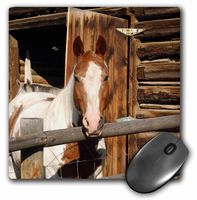 3dRose LLC 8 x 8 x 0.25 Inches Mouse Pad, USA Salmon Idaho Horses at Log Barn Gerry Reynolds (mp_90099_1)