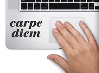 Carpe Diem Latin Seize the Day Symbol Decal Funny Laptop Skin Macbook Trackpad Keypad Sticker Window