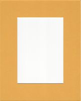 Pack of 5 8x10 Sun Yellow Picture Mats with White Core for 5x7 Pictures