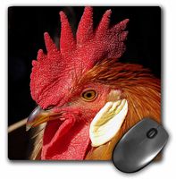 3dRose LLC 8 x 8 x 0.25 Inches Leghorn Rooster by Angle and Spot Mouse Pad (mp_10910_1)
