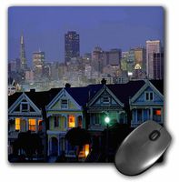 3dRose LLC 8 x 8 x 0.25 Inches San Francisco's Painted Ladies Mouse Pad (mp_18947_1)
