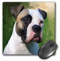 3dRose LLC 8 x 8 x 0.25 Inches American Bulldog Mouse Pad (mp_4151_1)