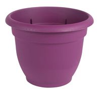 Bloem AP0629 Ariana Self Watering Planter, 6", Passion Fruit