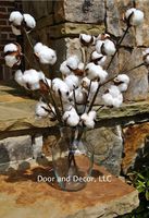 Cotton Stems or Branches 20" Tall with 11-13 Cotton Bolls per Stem for Rustic Farmhouse Decor