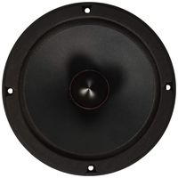 Faital Pro 10PR310 10-Inch 8ohm 600 Watts 98dB 2.5VC Mid-Bass Guitar Speaker, Single