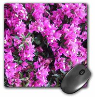 3dRose LLC 8 x 8 x 0.25 Inches Mouse Pad, Magenta Pink Bougainvillea Flowers Bright Purple Climbing Floral Plant (mp_164991_1)