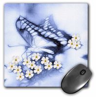 3dRose LLC 8 x 8 x 0.25 Inches Butterfly Flowers Blue Mouse Pad (mp_11746_1)