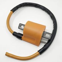 Ignition Coil 12 Volt for CDI Gas Gas EC MC XC 125 200 250 300