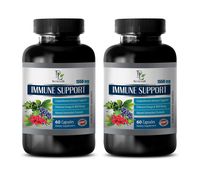 Immune Mushroom Support - Natural Immune Support Complex 1550MG - Powerful ANTIOXIDANTS - Best Herbs - Green Tea Detox - 2 Bottles (120 Capsules)