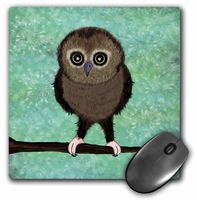 3dRose LLC 8 x 8 x 0.25 Inches Baby Owls First Adventure Mouse Pad, Green Blue (mp_57120_1)